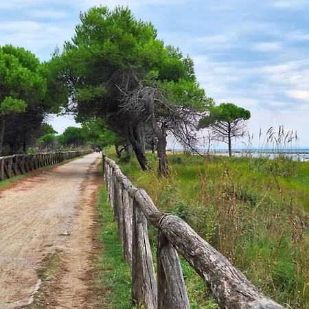 Comfortable Family Escape-beahost Appartement